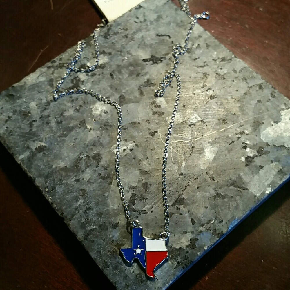Texas shape cloisonne necklace